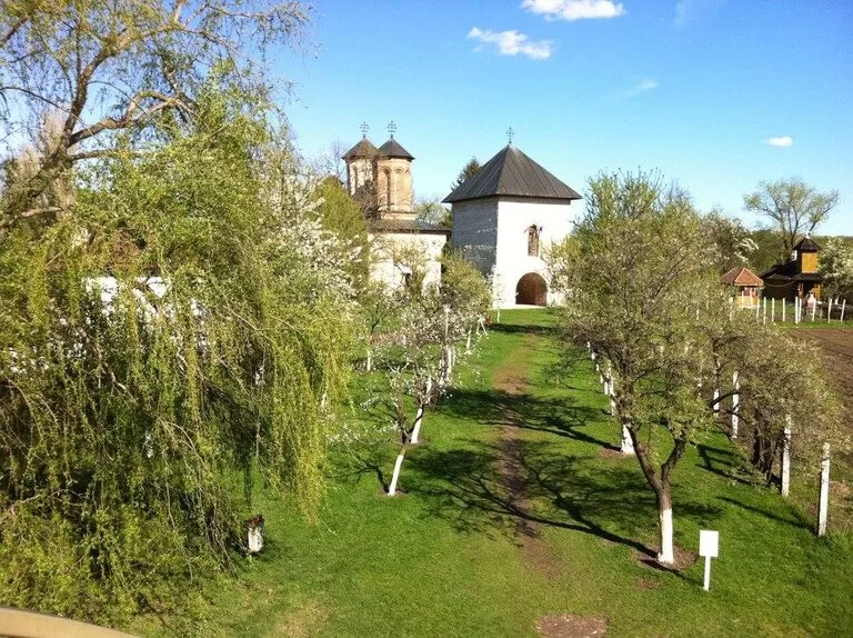Manastirea Snagov 6